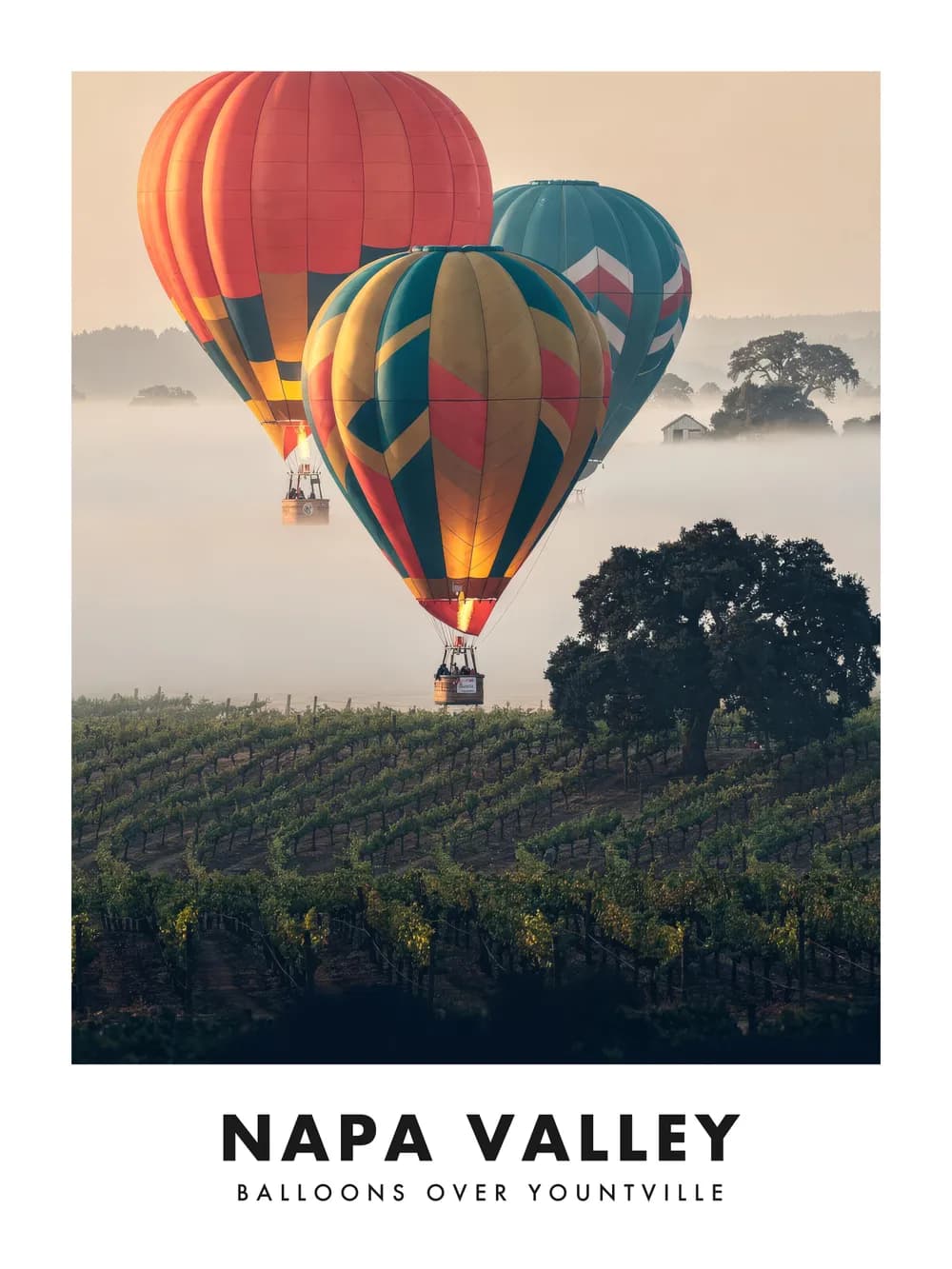 Napa Valley Balloons poster, 18 x 24"